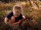 child loving nature - Biophilia