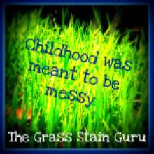 The Grass Stain Guru The Grass Stain Guru