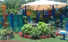 Plants & Play Plants & Play