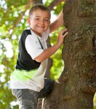 child utilizing lower body strength to climb a tree