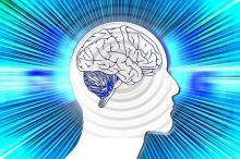 Sensory Processing Disorder Sensory Processing Disorder