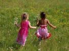 Convention on the Rights of the Child Convention on the Rights of the Child