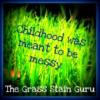 The Grass Stain Guru The Grass Stain Guru