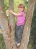 Tree Climbing